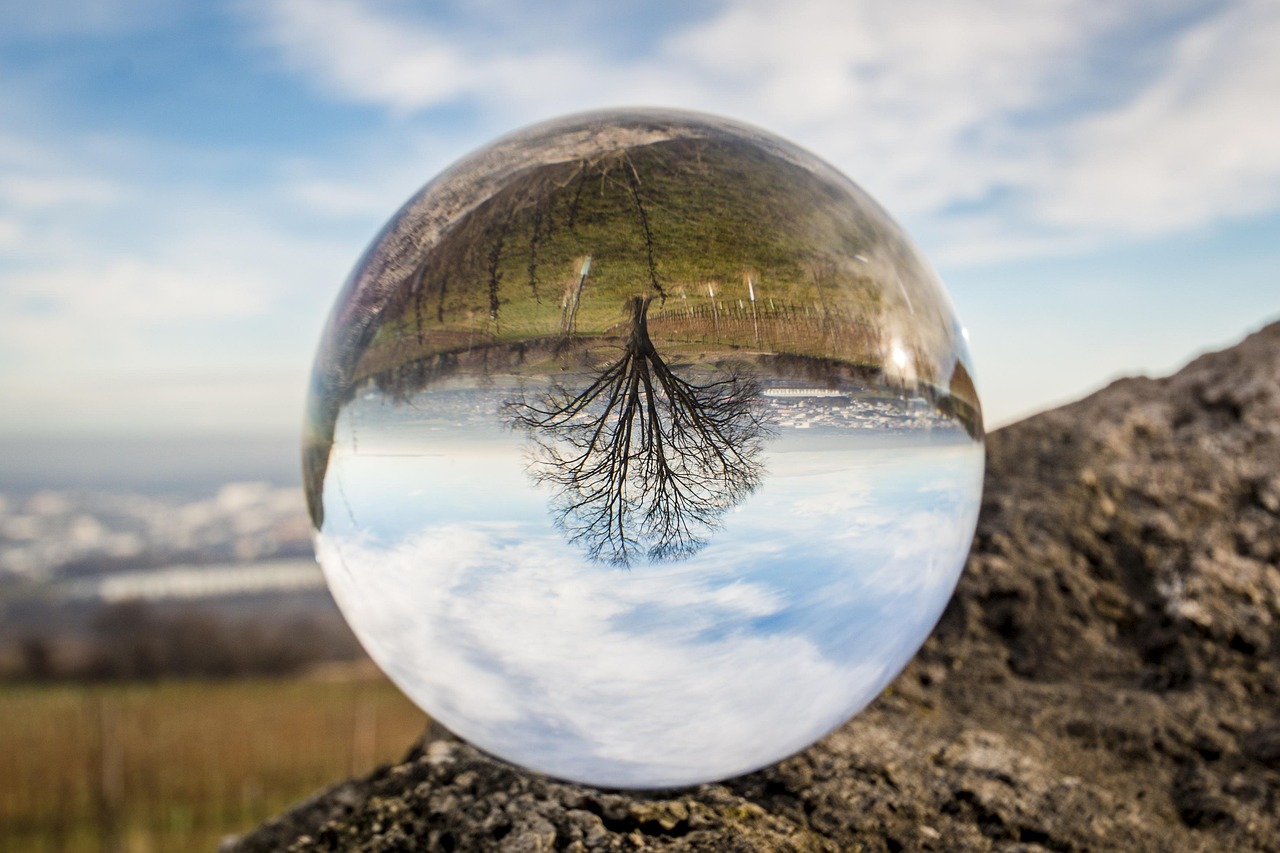 Message from the Seer: Dare to See Your Future?