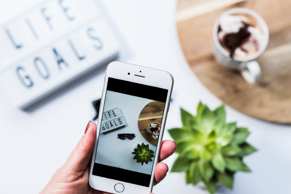 Identify Plants Easily with Your Smartphone App