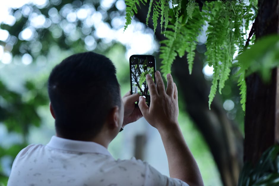 Aplicativo para Identificação de Plantas e Frutas