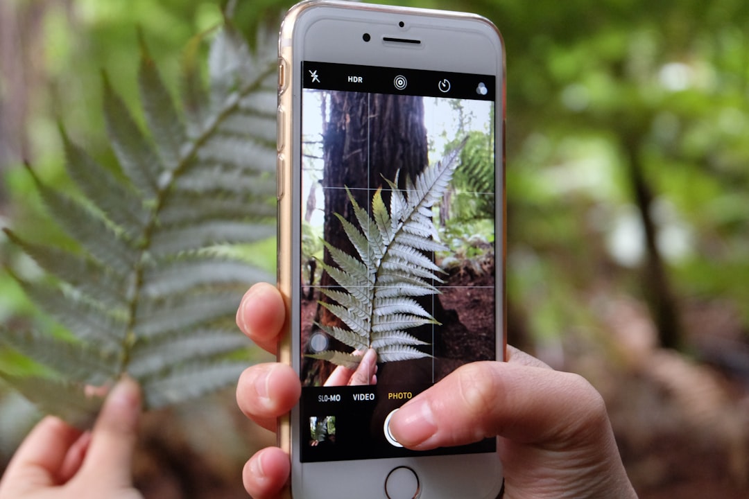 Identify Any Plant: Discover Plant Names Instantly